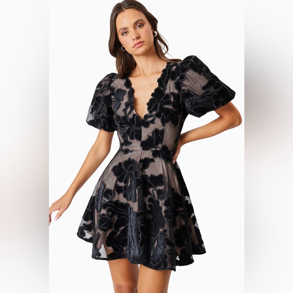 Elliatt Zara Flower Appliqué Fit & Flare Minidress NWT XS